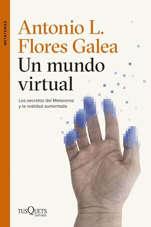 UN MUNDO VIRTUAL