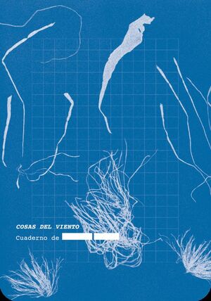 COSAS DEL VIENTO (CATÁLOGO A CIEGAS 3)