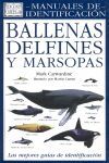 BALLENAS DELFINES Y MARSOPAS