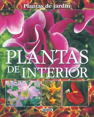 PLANTAS DE INTERIOR: PLANTAS DE JARDÍN