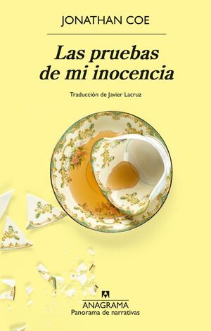 LAS PRUEBAS DE MI INOCENCIA