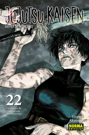 JUJUTSU KAISEN. Nº22