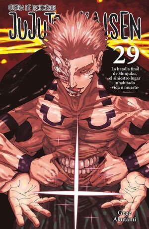 JUJUTSU KAISEN. Nº29: GUERRA DE HECHICEROS