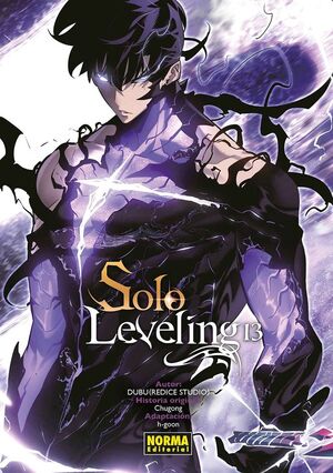 SOLO LEVELING. Nº13