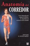 ANATOMIA DEL CORREDOR