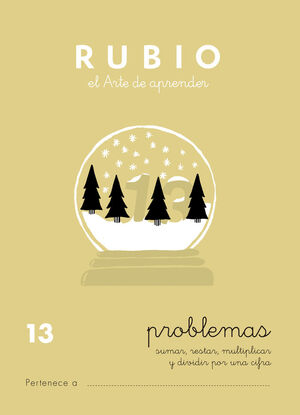 CUADERNO PROBLEMAS RUBIO Nº13