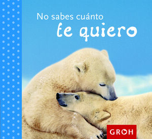 NO SABES CUÁNTO TE QUIERO